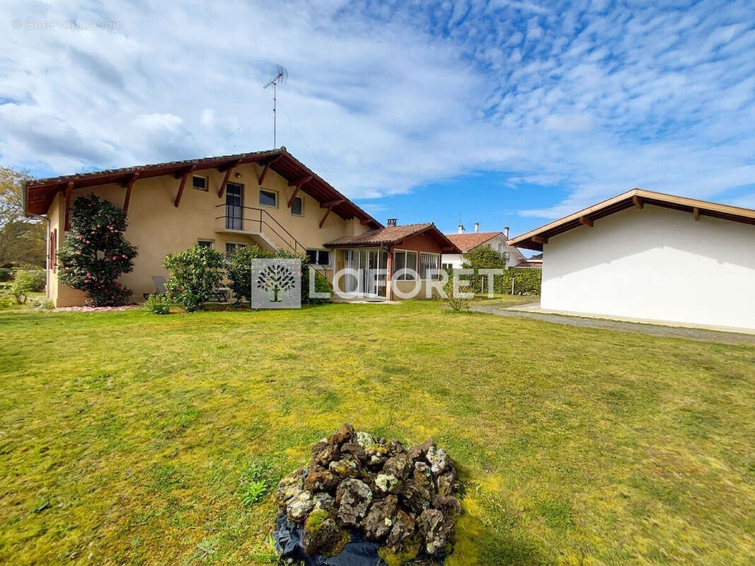Maison à SAINT-JULIEN-EN-BORN