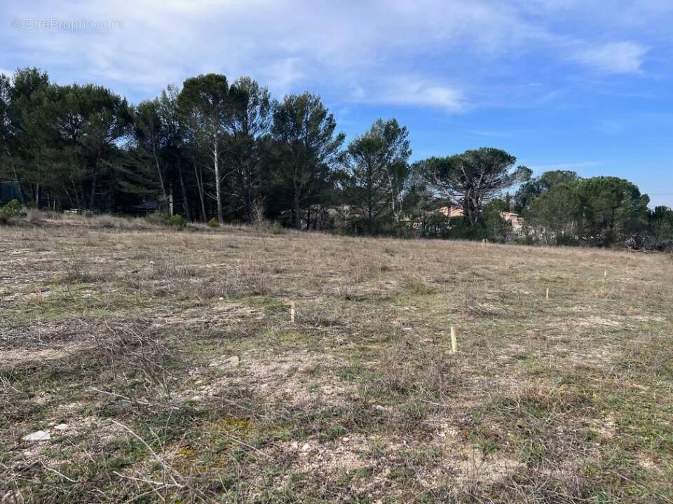 Terrain 1508 m² à Alleins  - photo 3