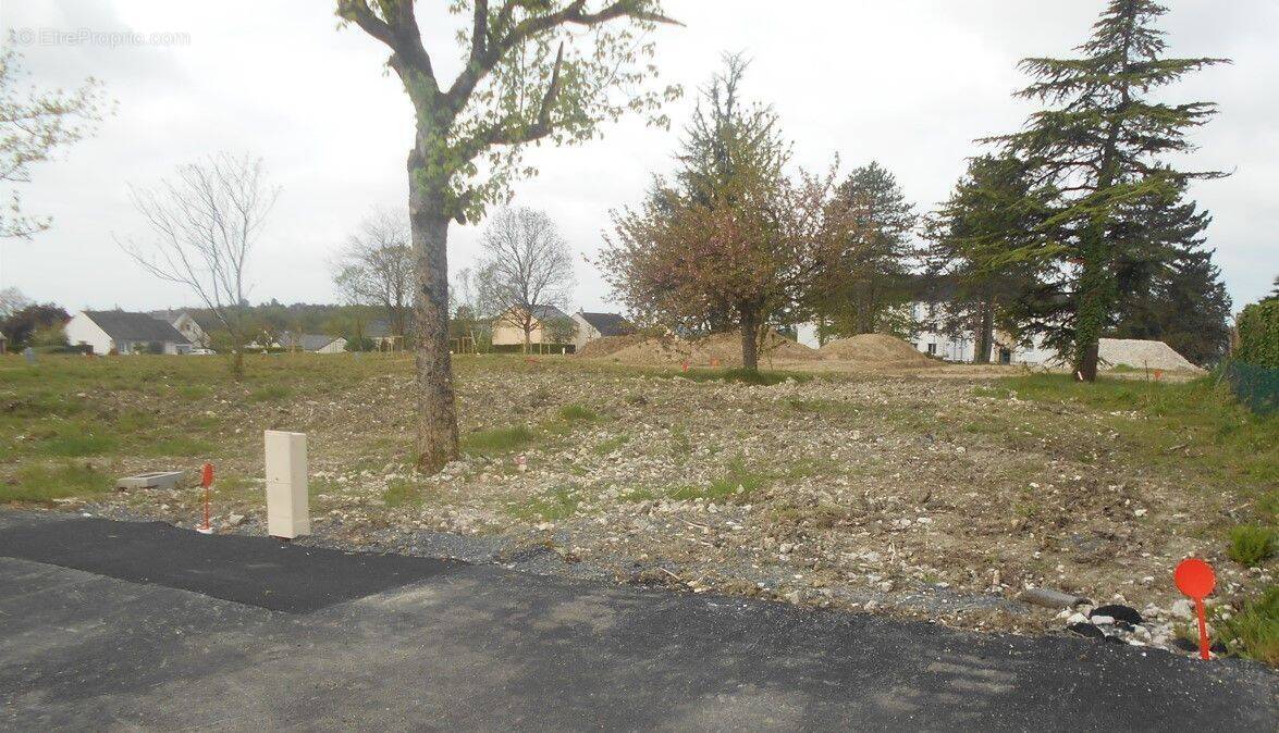 Terrain à LANGEAIS