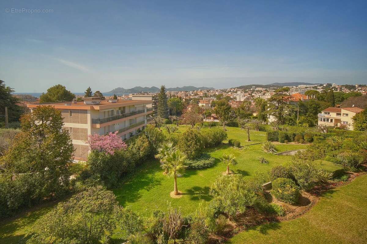 Dernier étage - Cannes - Vue mer - photo 4
