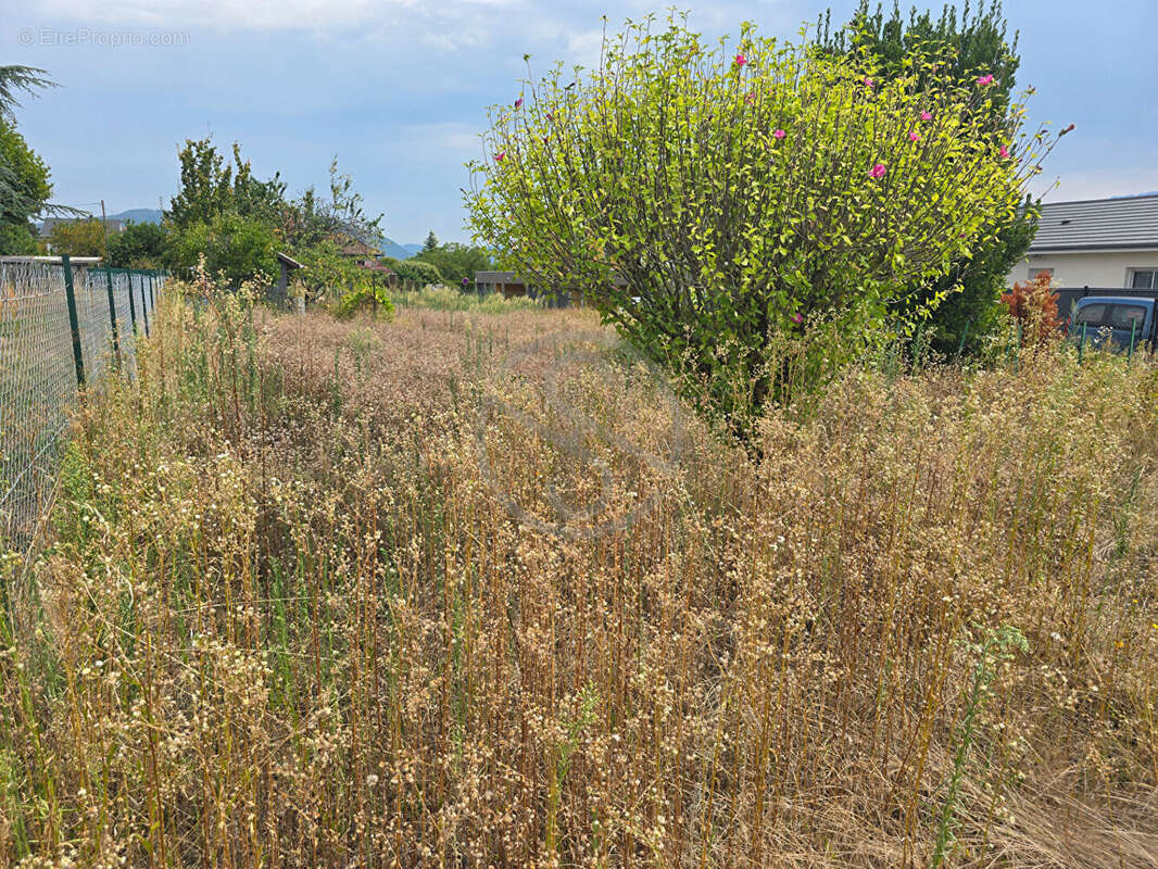 Terrain à RIVES