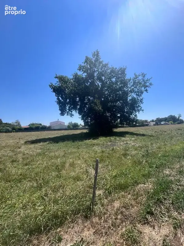 Terrain 328 m² à Medis  - photo 3