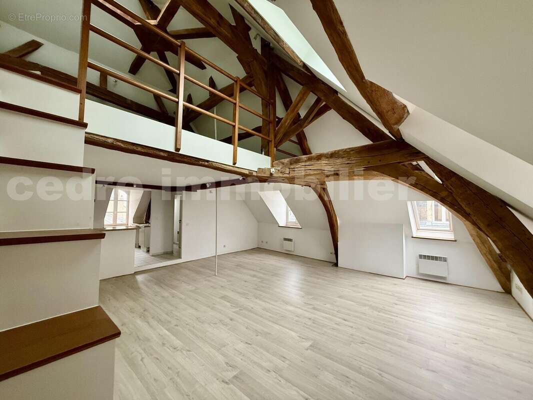 IMG_3501 - Appartement à ORLEANS