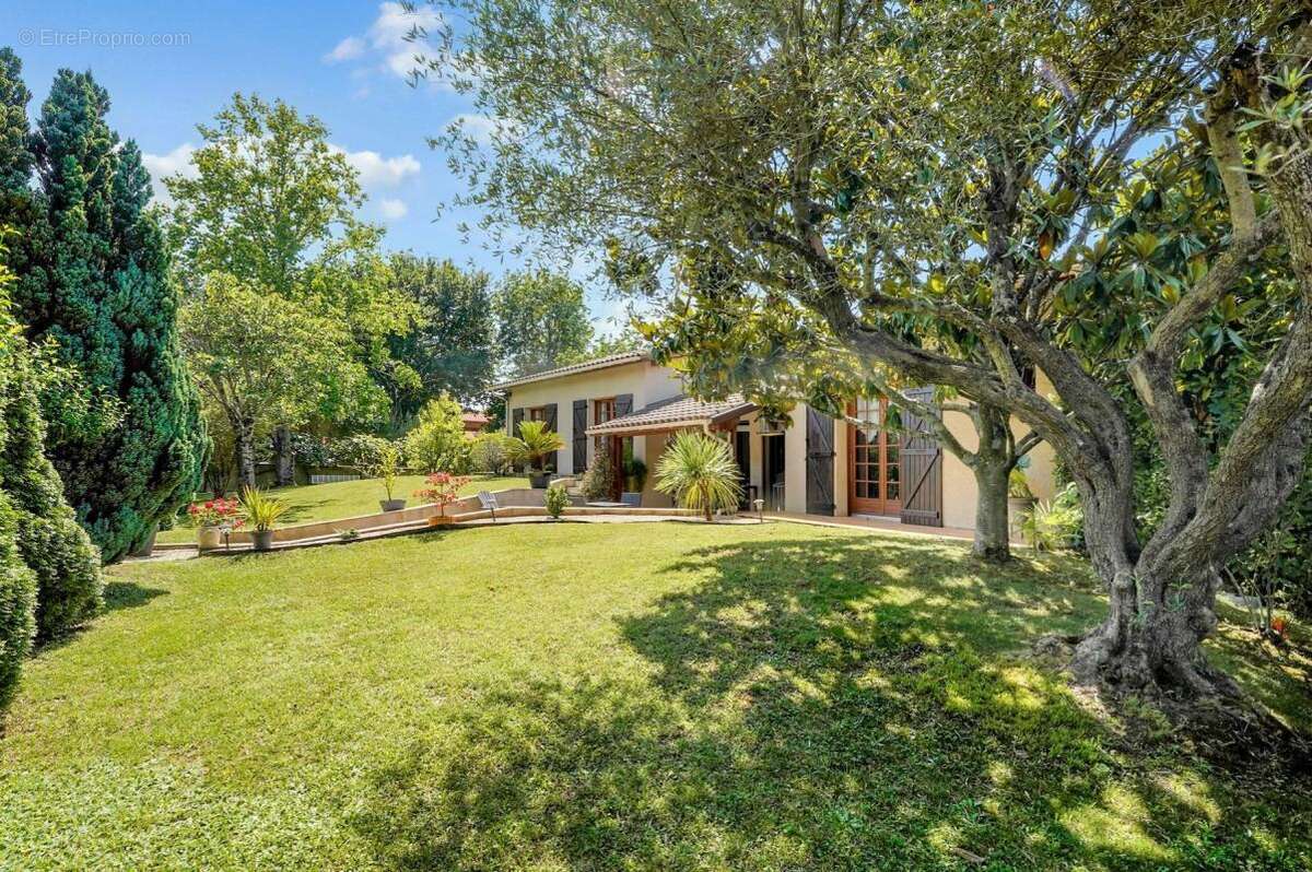 Maison à VILLENEUVE-TOLOSANE