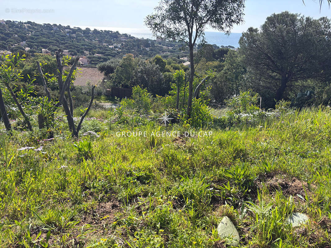 Terrain à LES ISSAMBRES