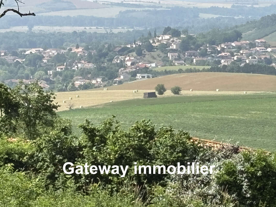 Terrain à SAINT-GEORGES-SUR-ALLIER