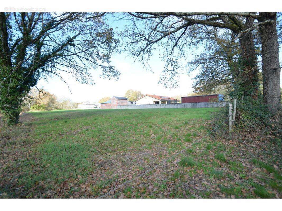 Terrain à PORCHERES