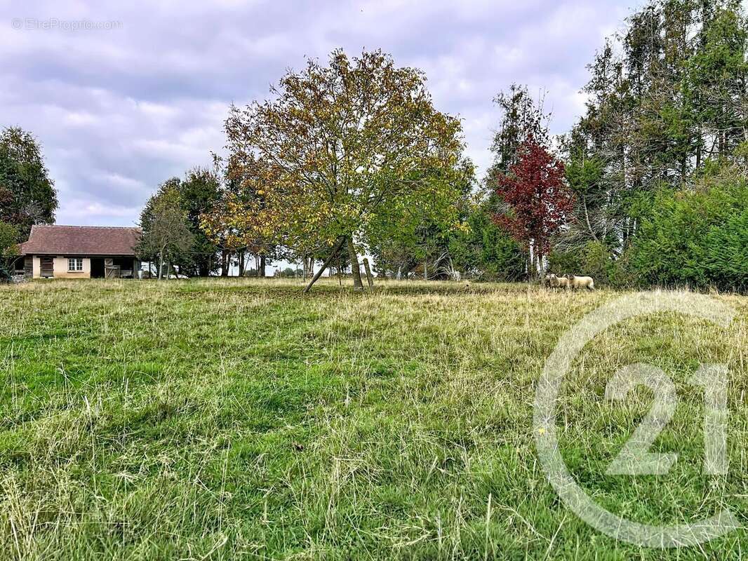 Maison à BEUZEVILLE