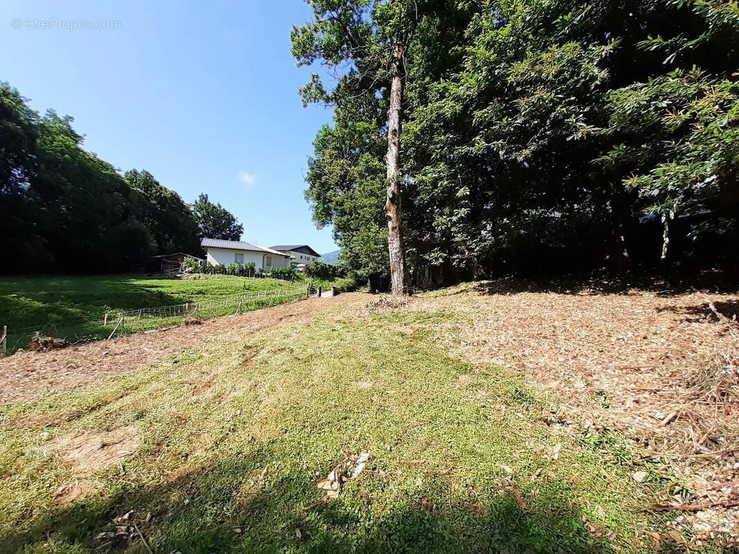 Photo 1 - Terrain à VIMINES