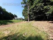 Photo 1 - Terrain à VIMINES