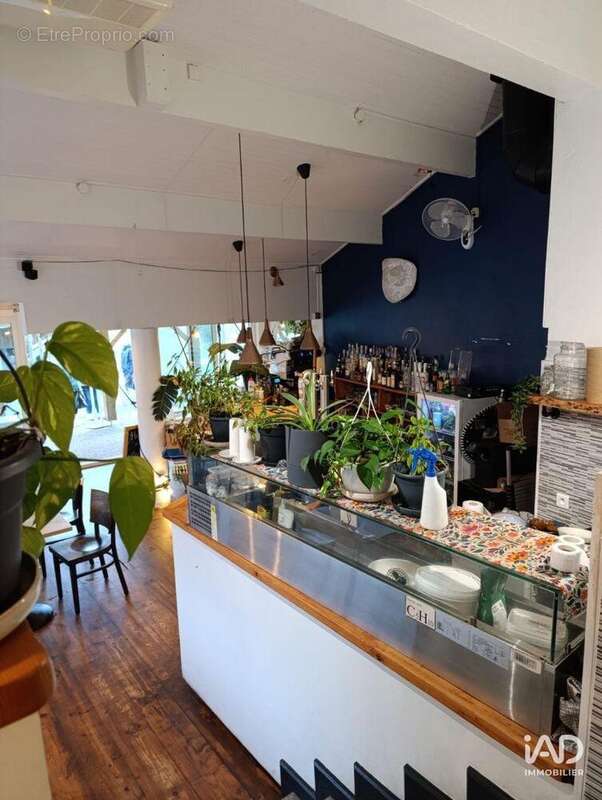 Photo 5 - Commerce à MIMIZAN