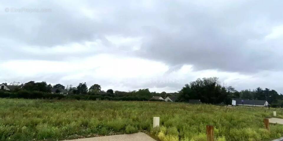 Terrain à CHAMPMOTTEUX