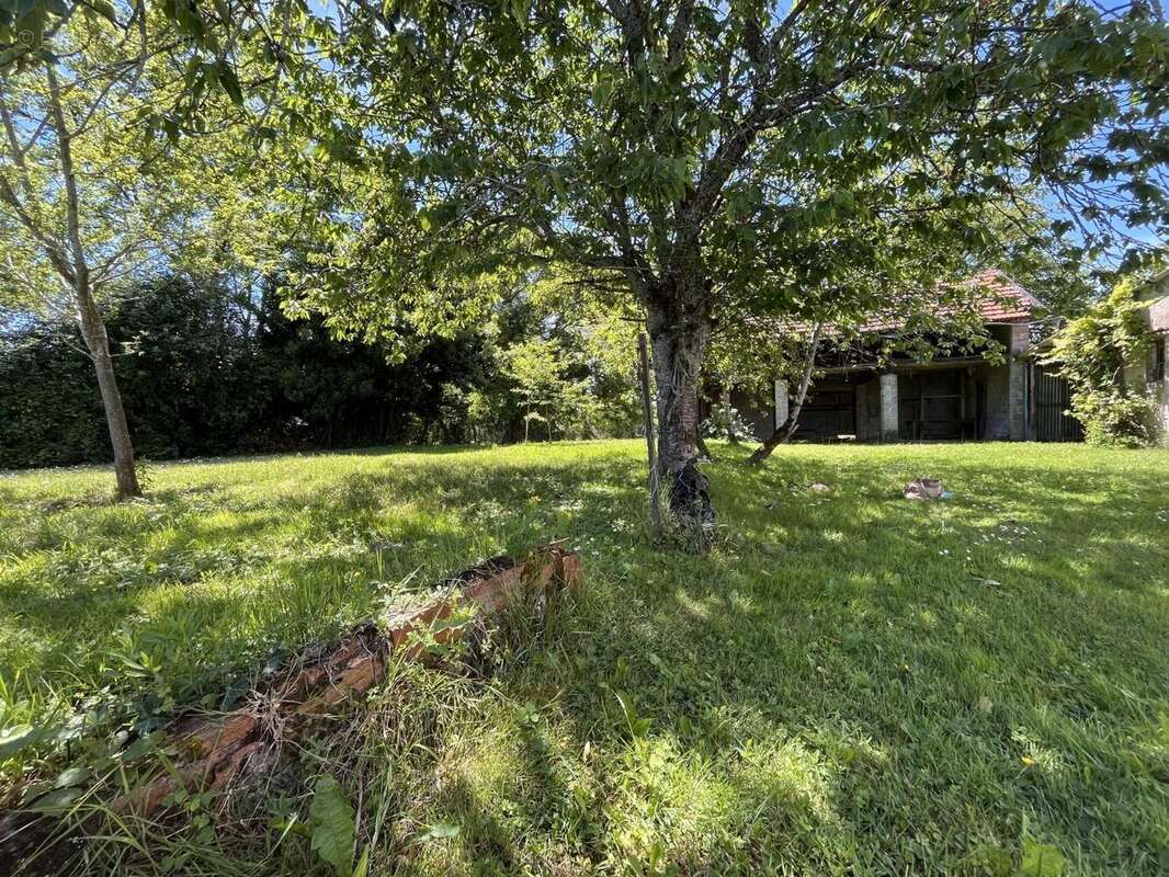 jardin côté sud - Maison à BEDEILLE