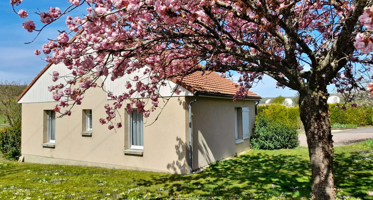 Maison à BERCENAY-EN-OTHE
