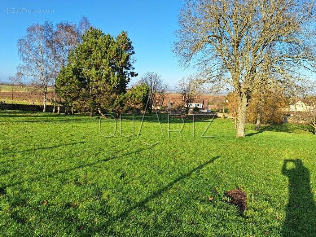 Terrain à HENONVILLE