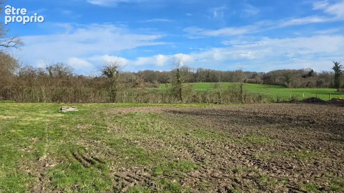 Terrain plat - calme - environnement campagne - photo 3