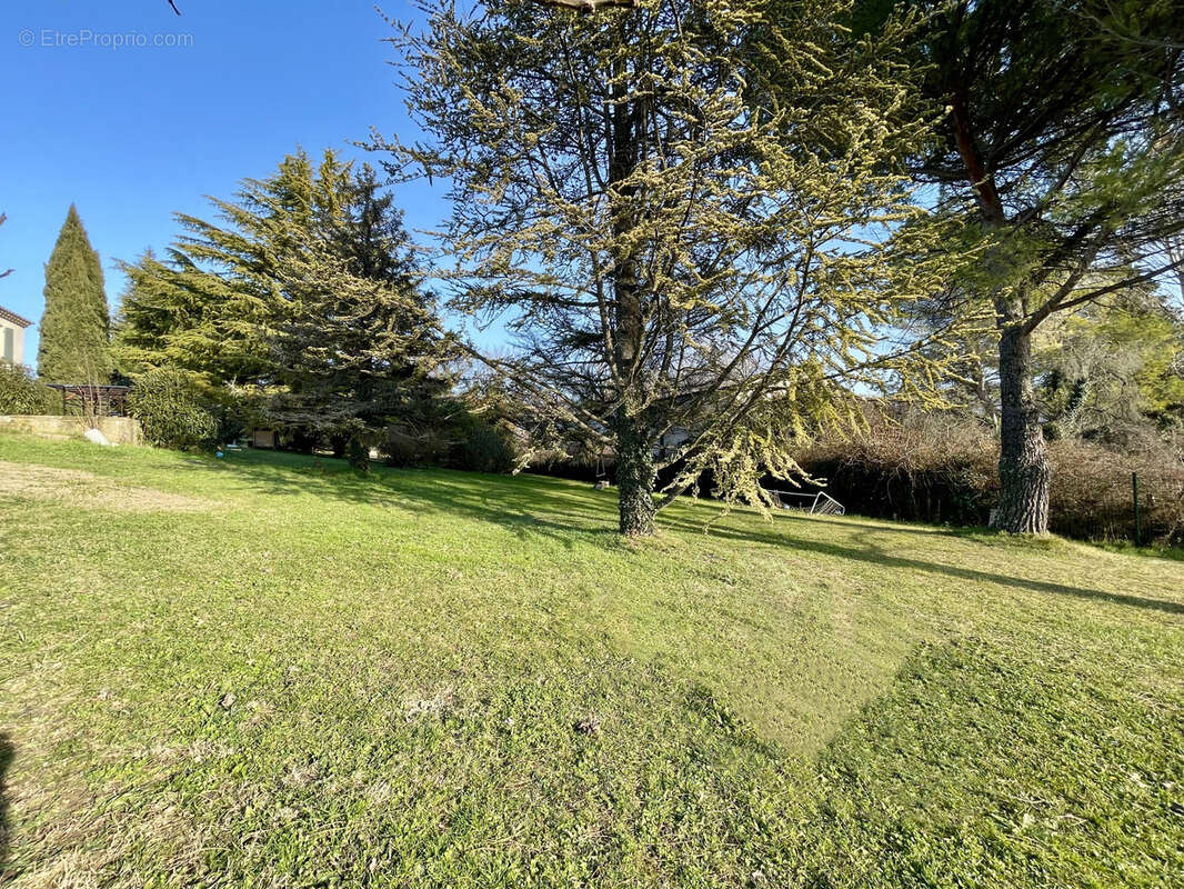 10 mn de vaison - maison avec terrain et piscine - photo 5