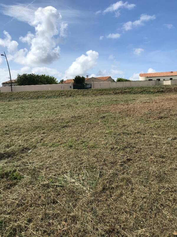 Terrain à SAINT-NAZAIRE-SUR-CHARENTE
