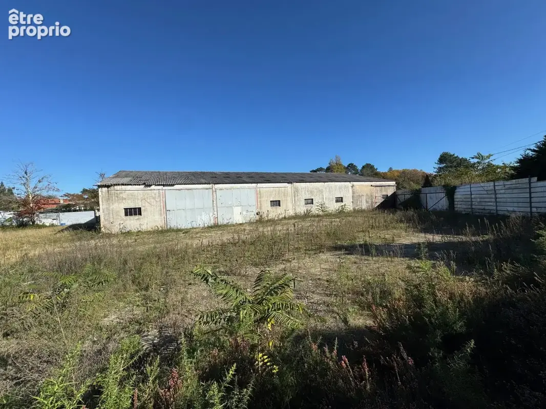Commerce 1 700 m² à vendre à Onesse-Et-Laharie (40110) - photo 6