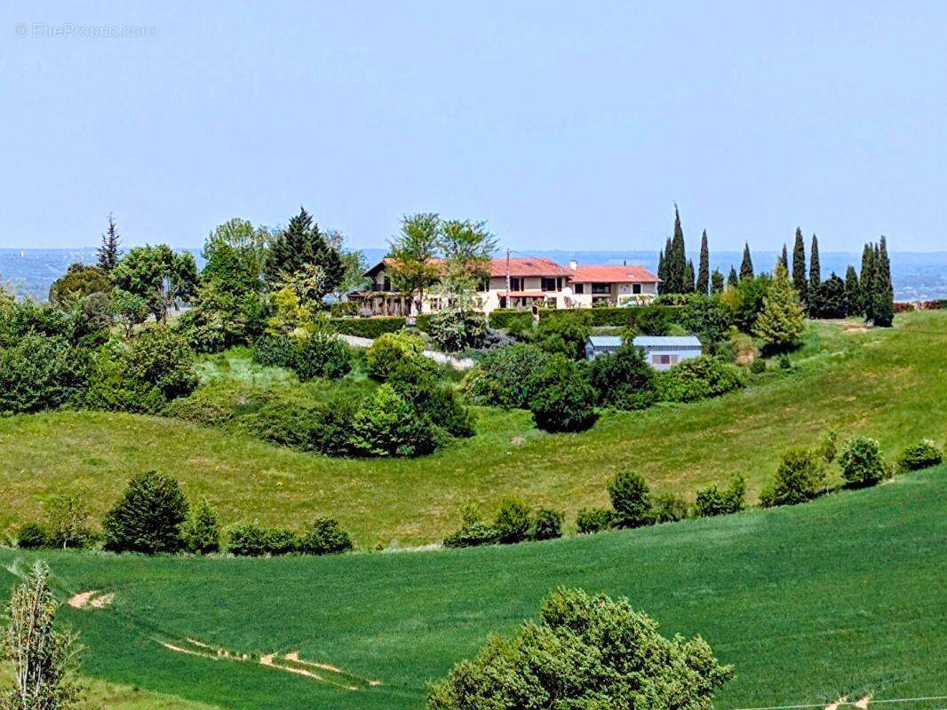Demeure Rieux-Volvestre 20 pièces 444 m² habitables avec 27 hectares - photo 3