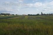 Terrain à TAUXIGNY