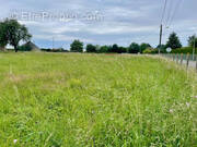 Terrain à SAINT-ELIER