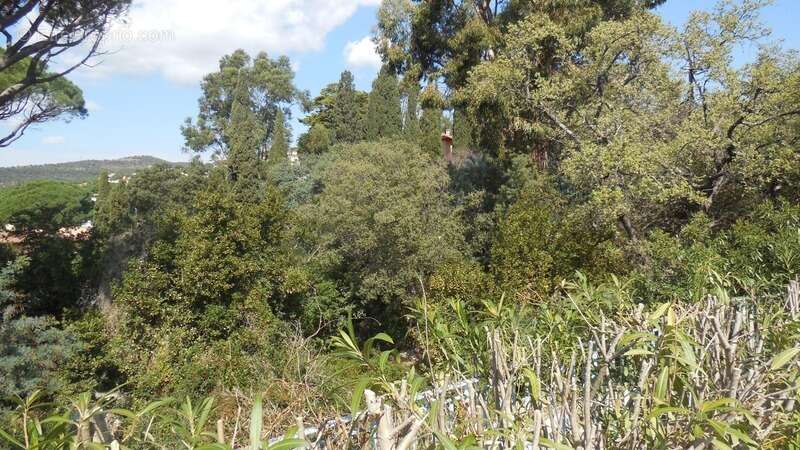 Maison à LES ISSAMBRES