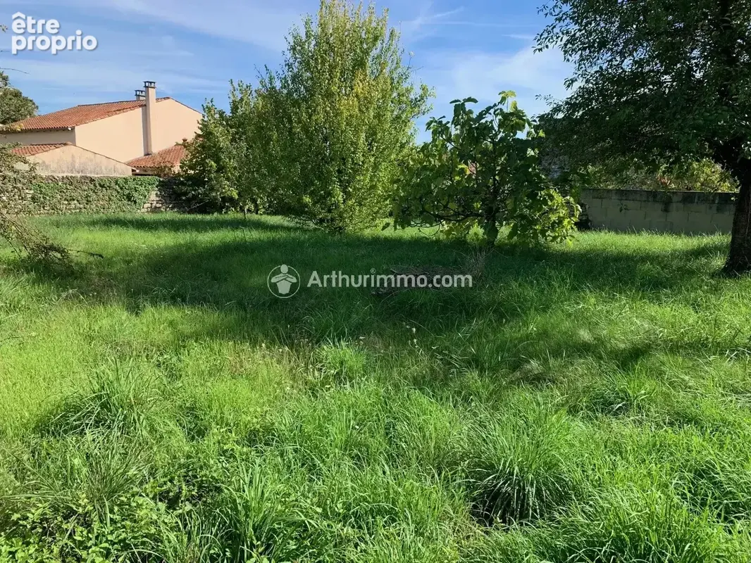 Vente Terrain Aulnay(17470) 7 900ï¿œ - photo 3