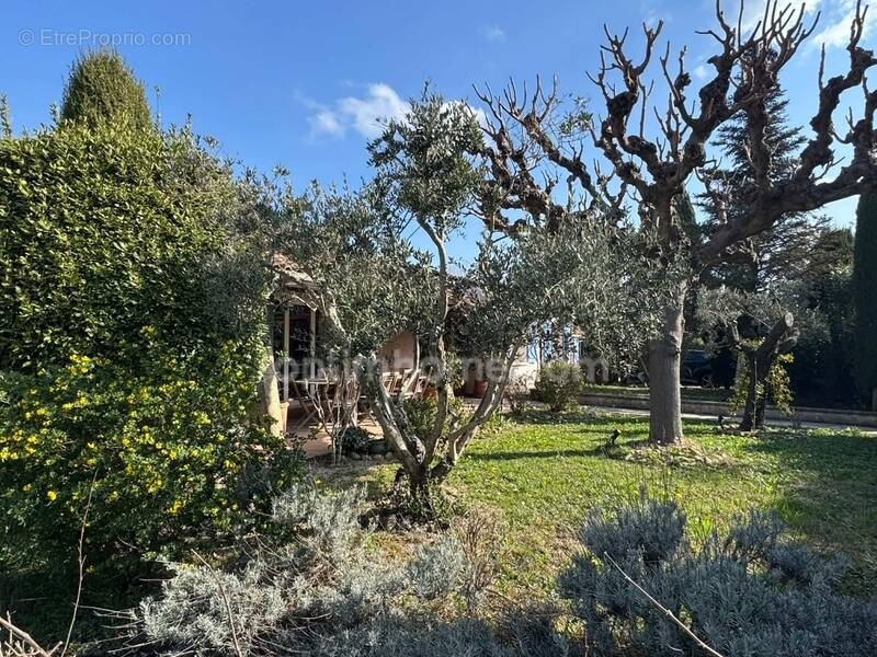 Maison à SAINT-REMY-DE-PROVENCE