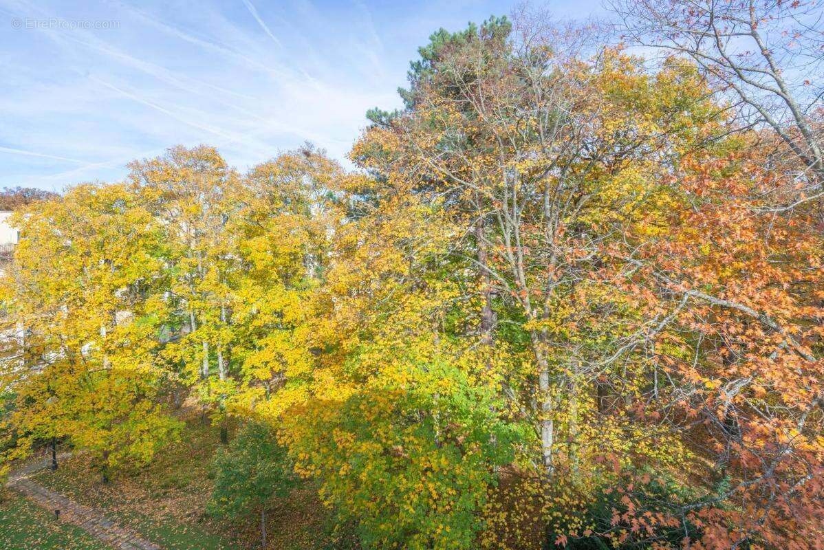 Appartement à VILLE-D'AVRAY