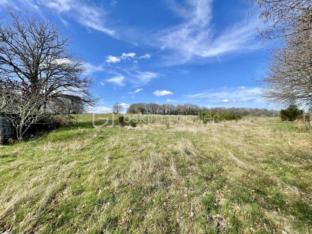 Maison en pierre avec grand terrain sans voisins - photo 4