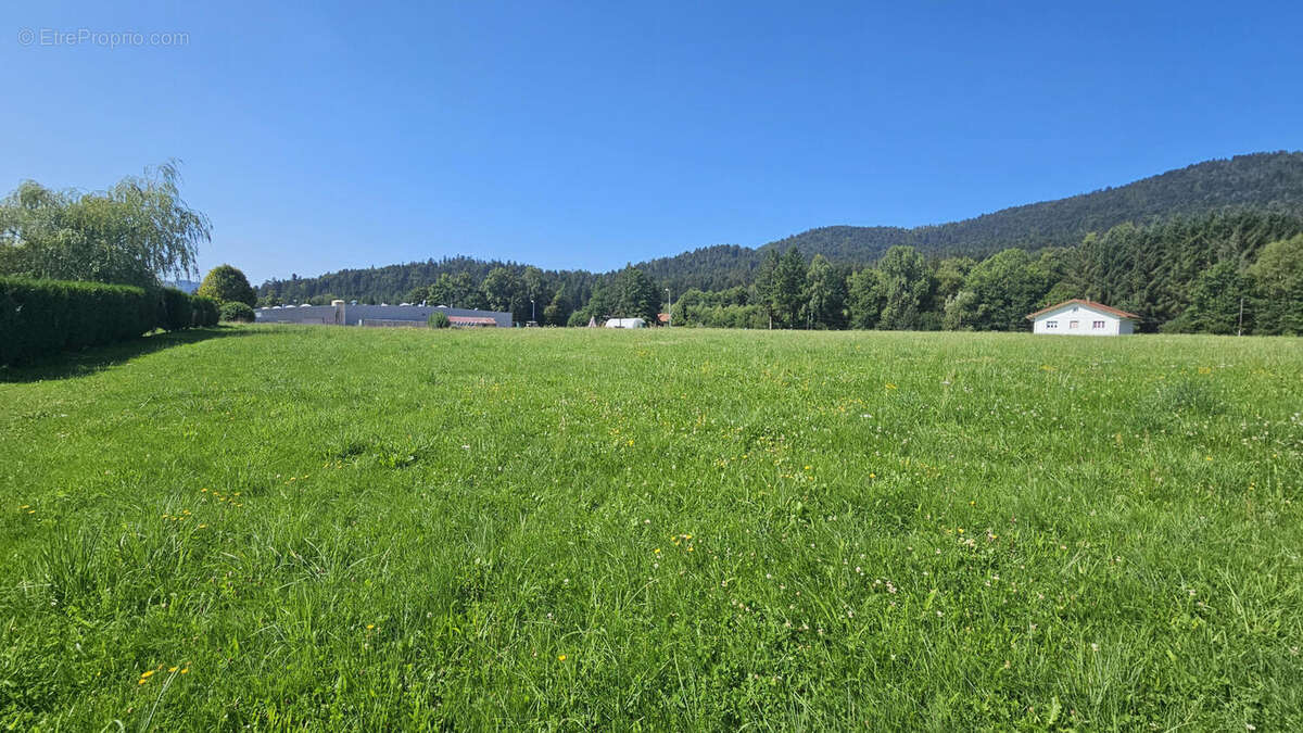 20250811_111130 - Terrain à CLEURIE