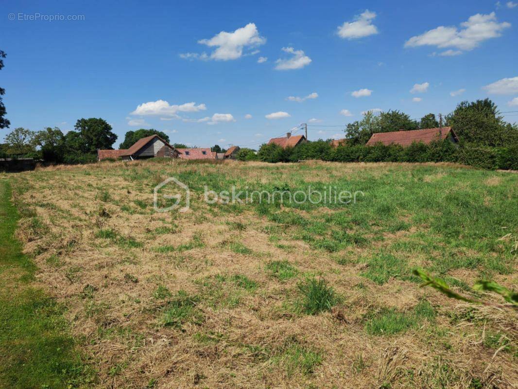 Terrain à FRANLEU