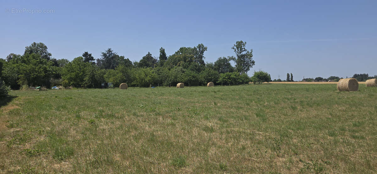 Terrain à VILLEBEON