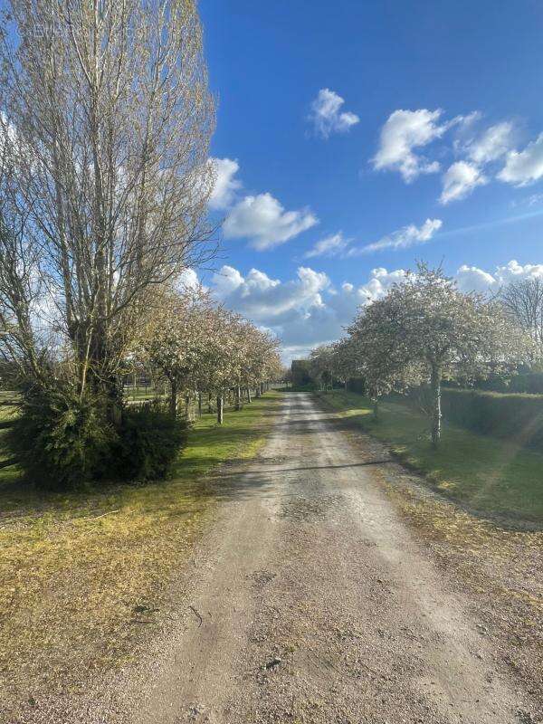 Corps de ferme - photo 6