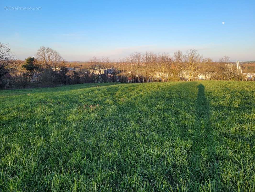 Terrain de 52 ares constructible - MARMOUTIER - photo 3