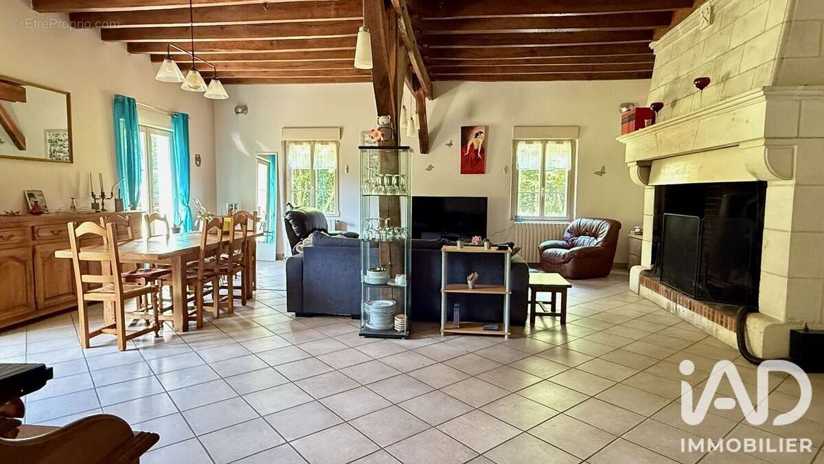Maison 476 m² à La Croix-En-Touraine  - photo 5
