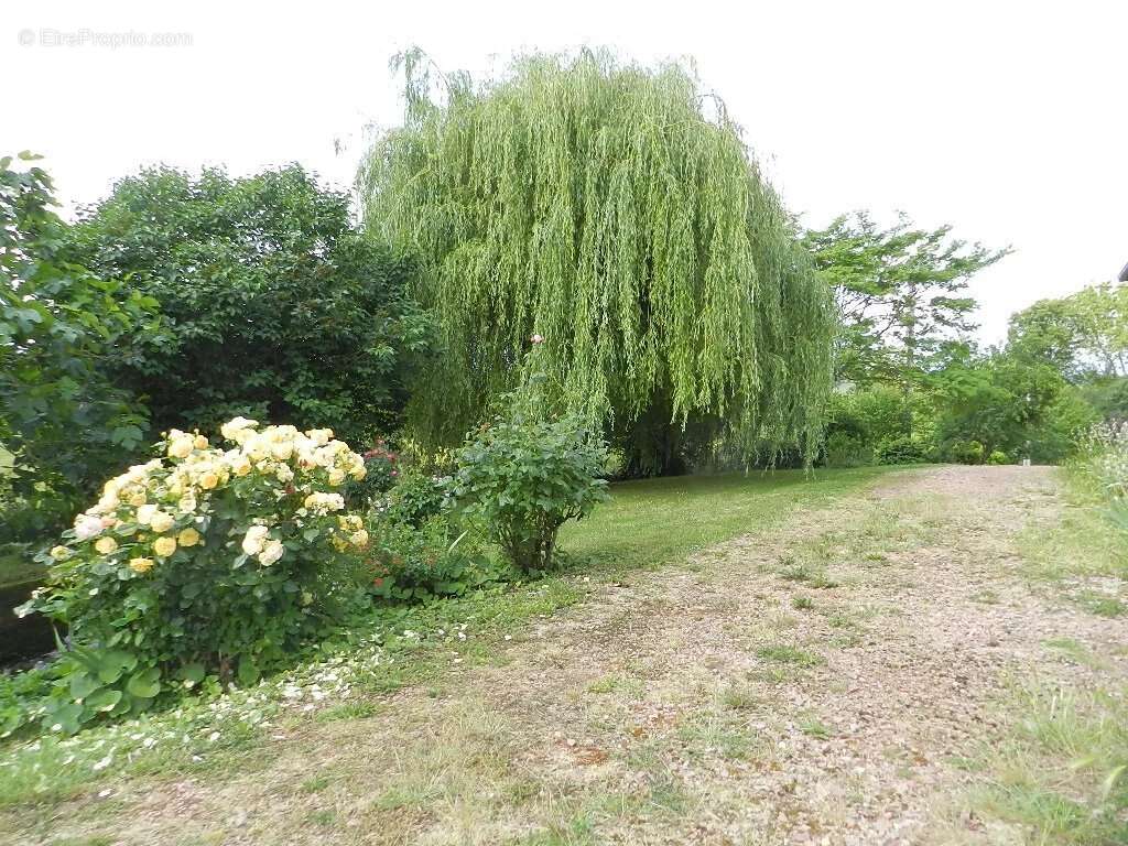 Maison à SAINT-PIERRE-SUR-DIVES