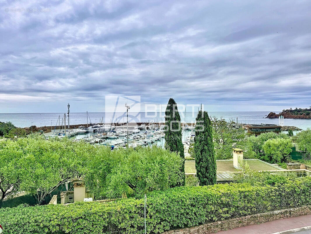 Appartement à THEOULE-SUR-MER