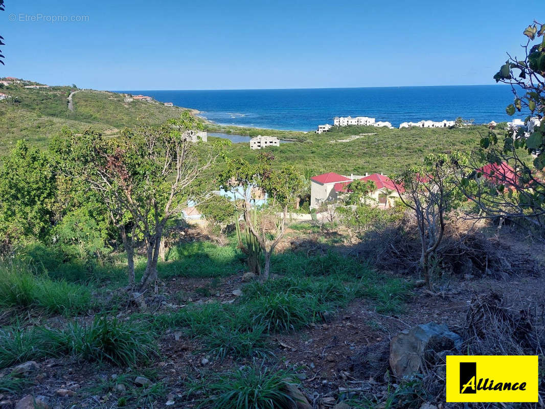 Terrain à SAINT-MARTIN