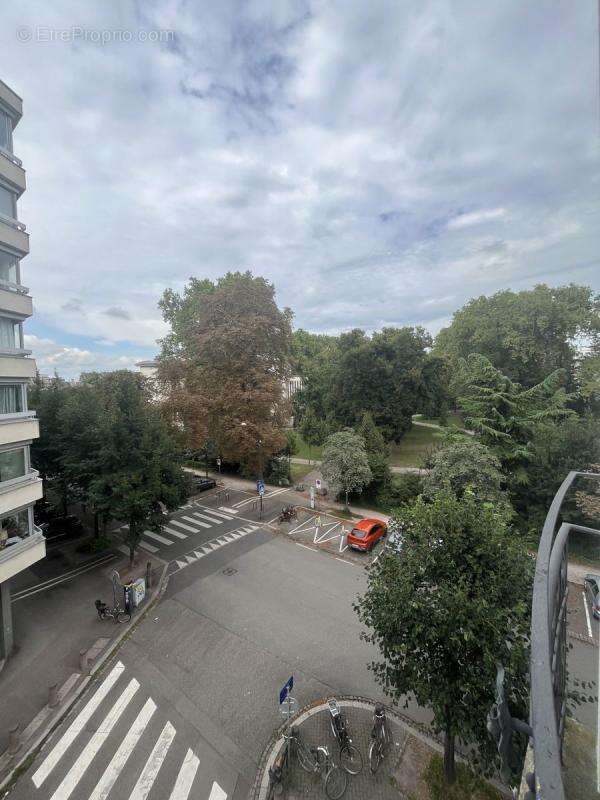 Commerce à STRASBOURG