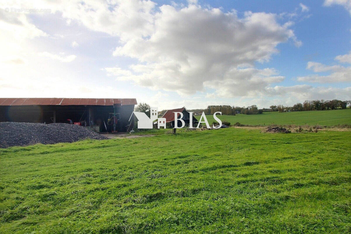 Terrain à MESNIL-PANNEVILLE