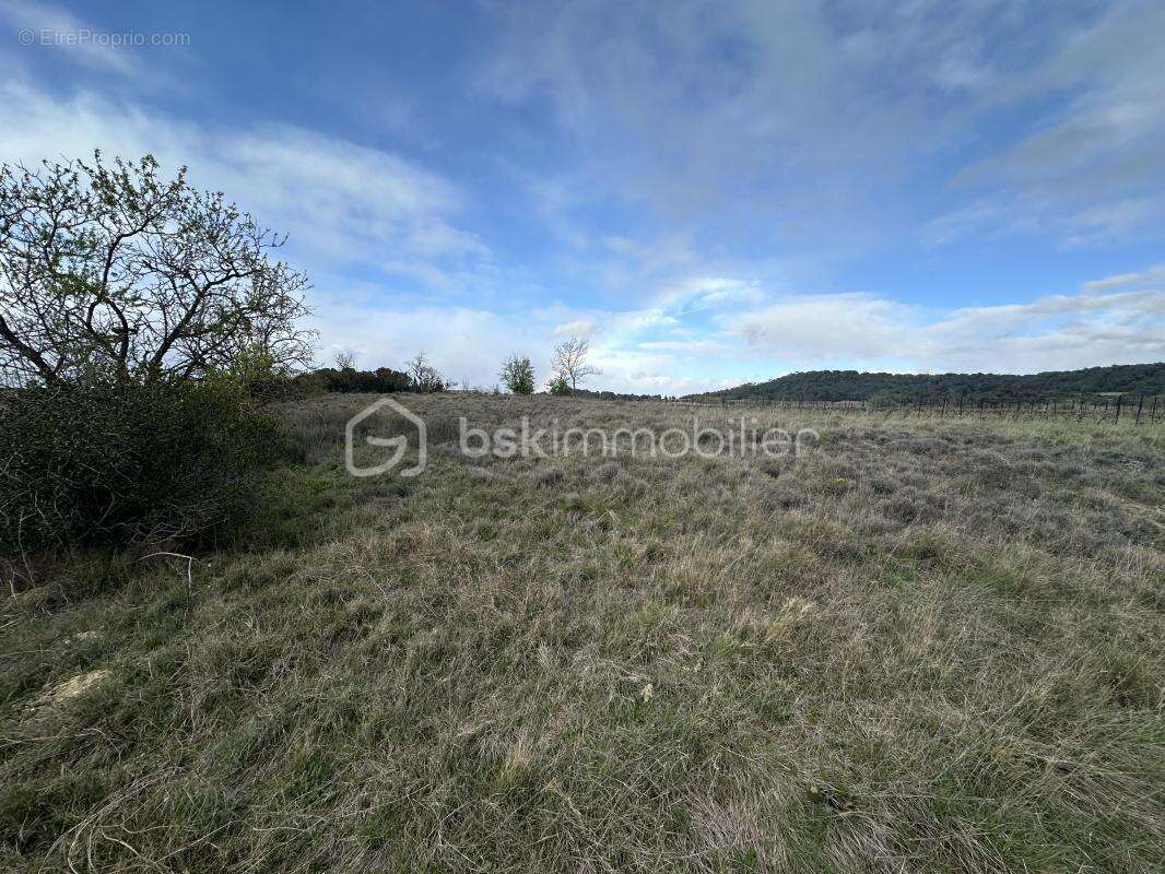Terrain agricole - photo 2
