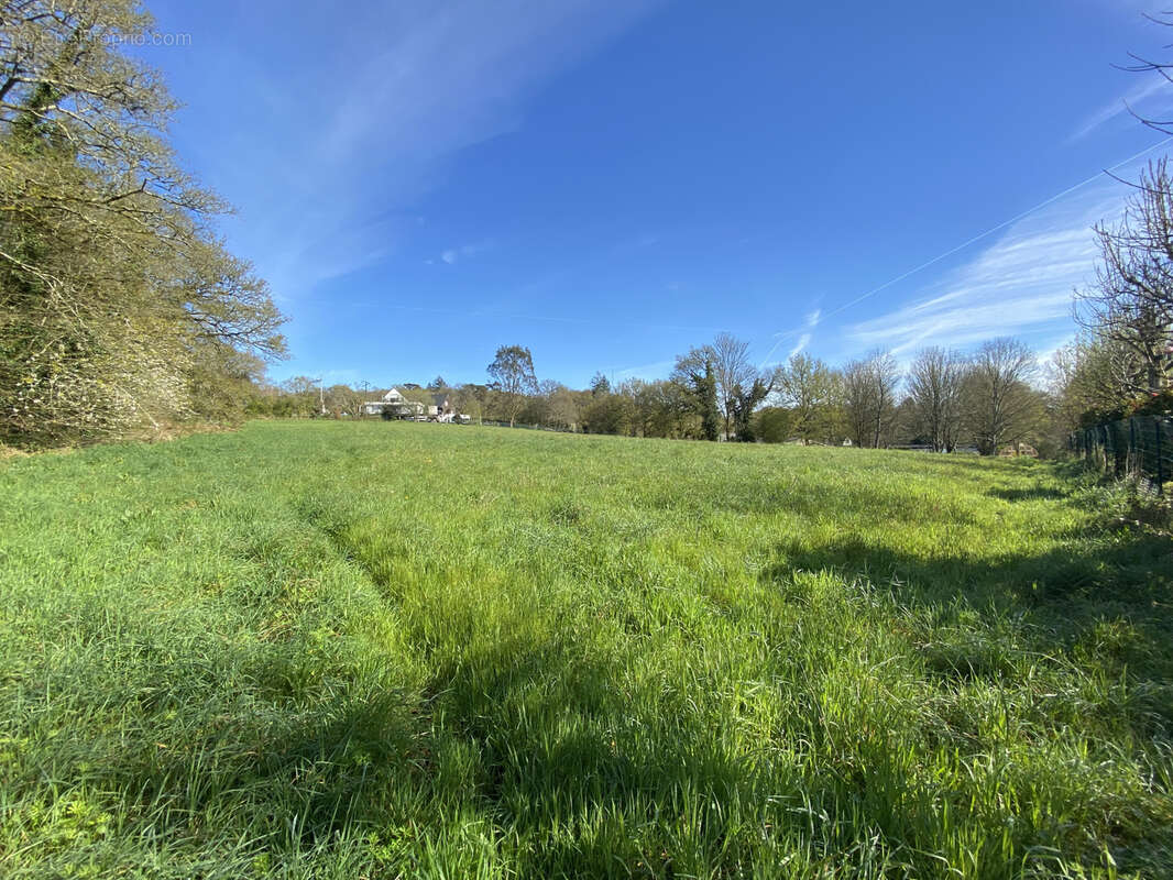 Terrain à BUBRY