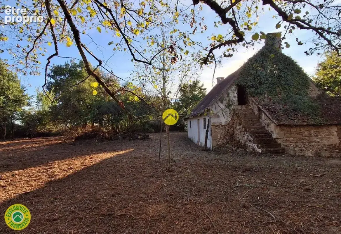 Maison avec grand jardin - photo 8