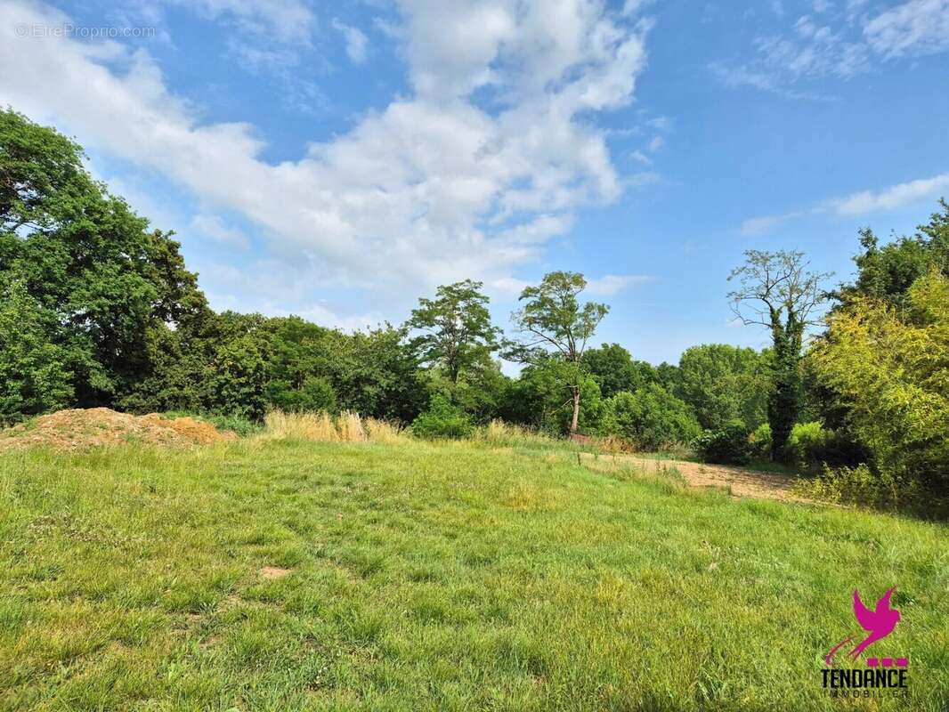 Terrain à MONDONVILLE