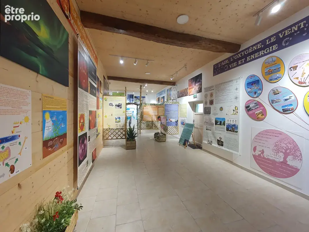 Local commercial Loisirs/tourisme à Couddes - photo 8