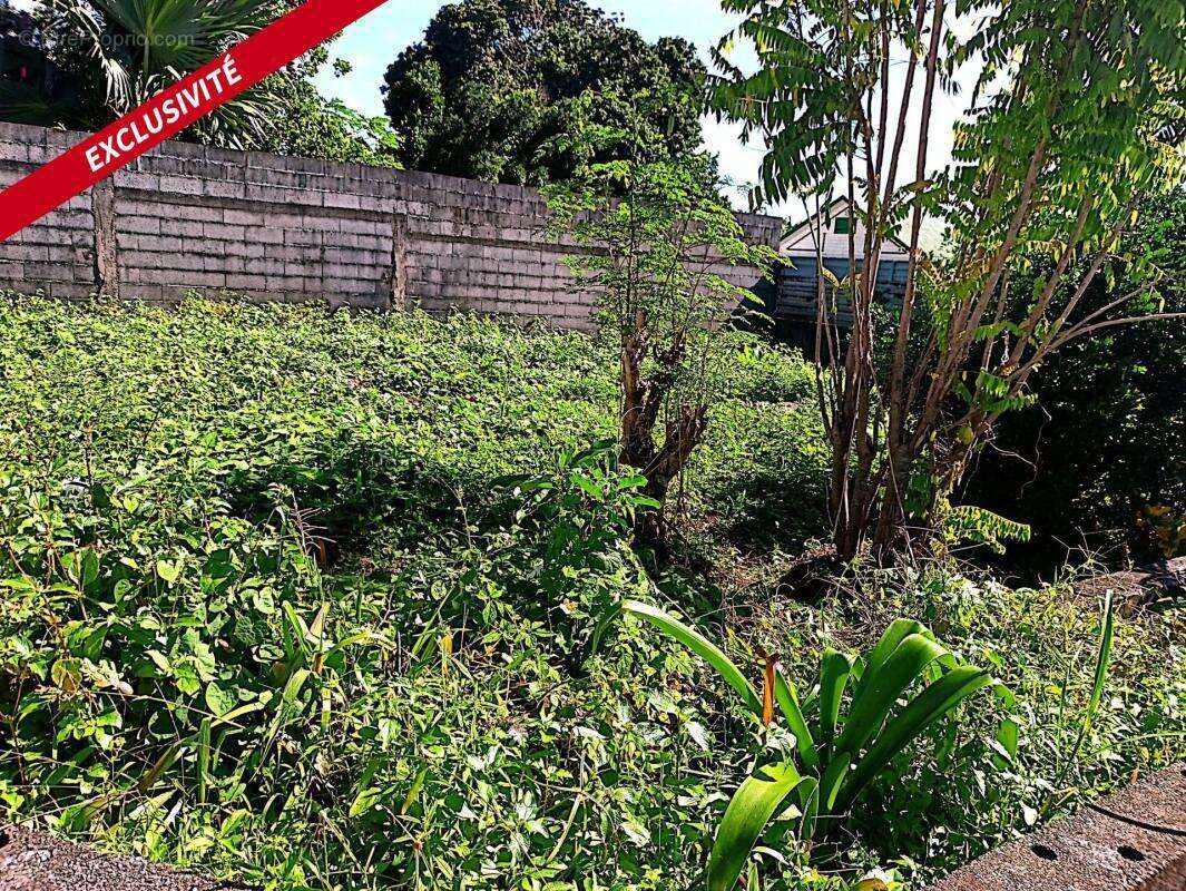 Maison à SAINTE-SUZANNE