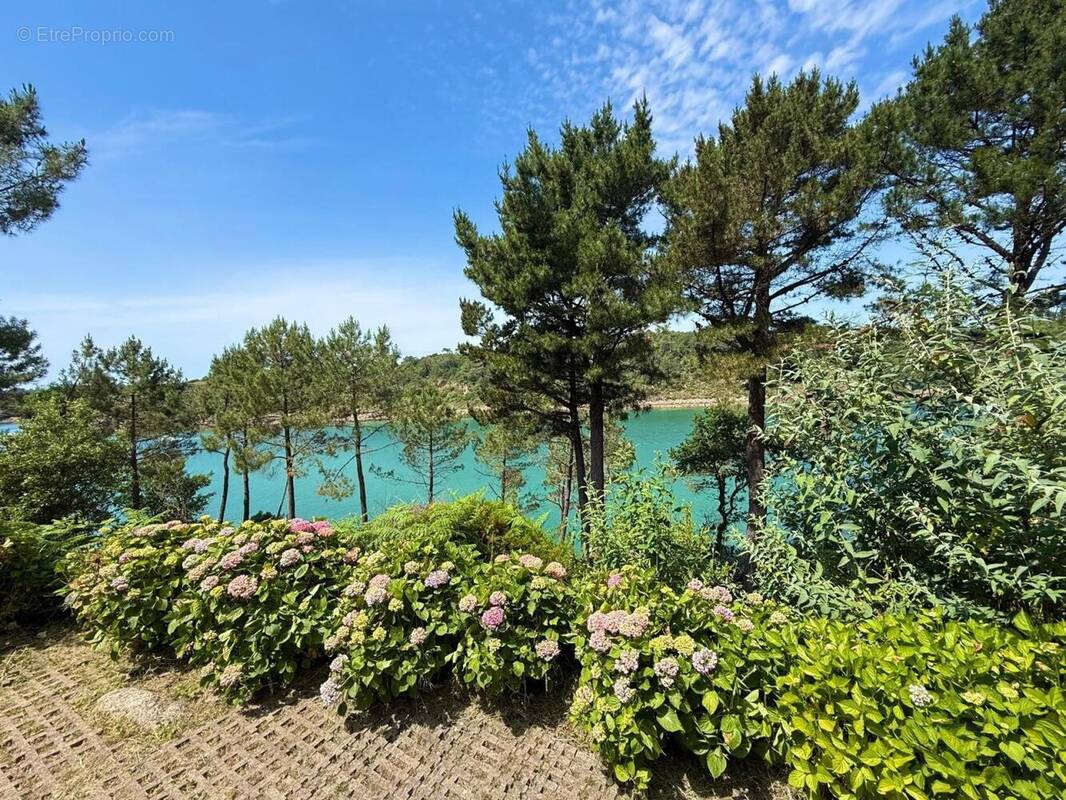 Photo 1 - Maison à MOELAN-SUR-MER