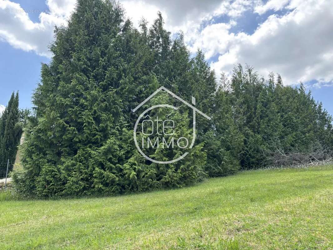 Sainte Colombe : Terrain à bâtir - 1165 m² - photo 4